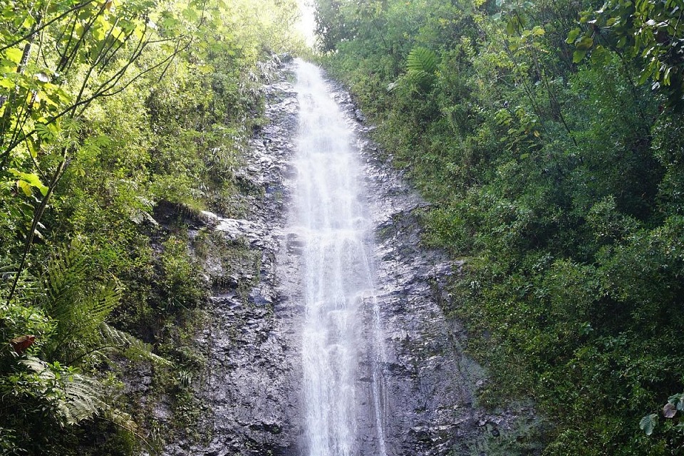 Manoa Waterfall Of Diamond-Shaped Oahu Island In Hawaii